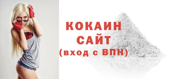 ECSTASY Алзамай