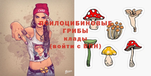 ECSTASY Алзамай