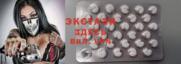 ECSTASY Алзамай